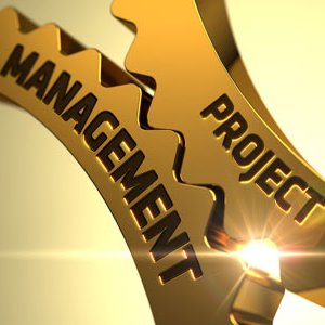 Project management in the process and energy industries